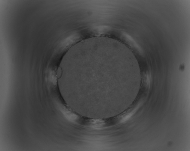 X0000096700719200802121203