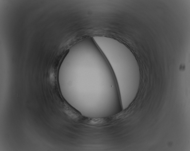 X0000096700720200802121203