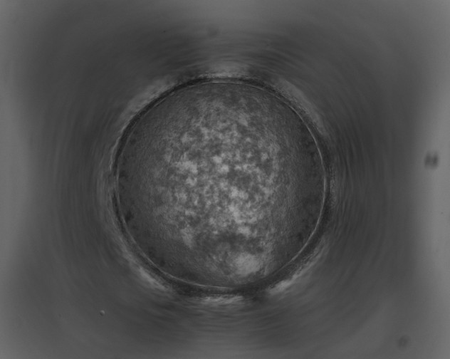 X0000096700721200802121202