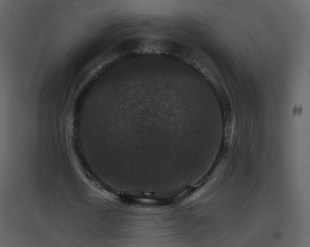 X0000096700722200802121202