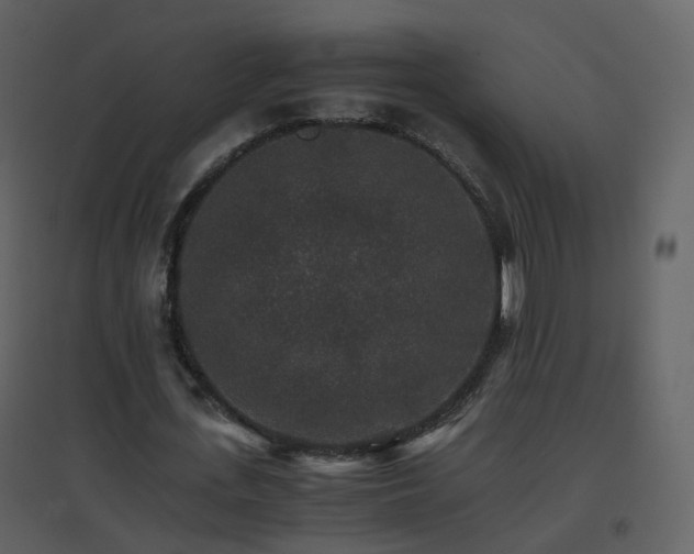 X0000096700723200802121202