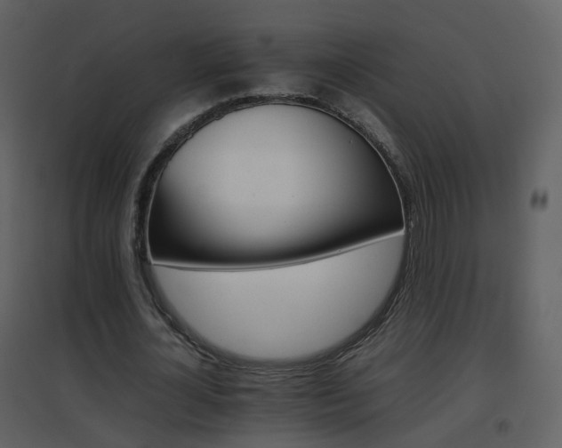 X0000096700724200802121202