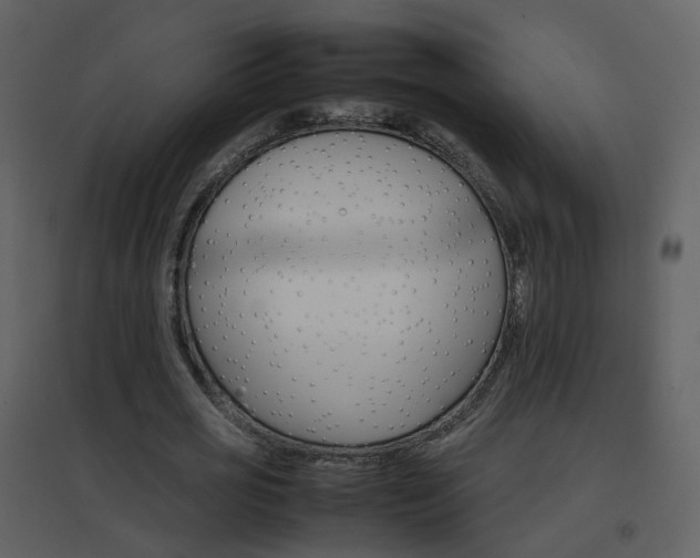 X0000096700725200802121202