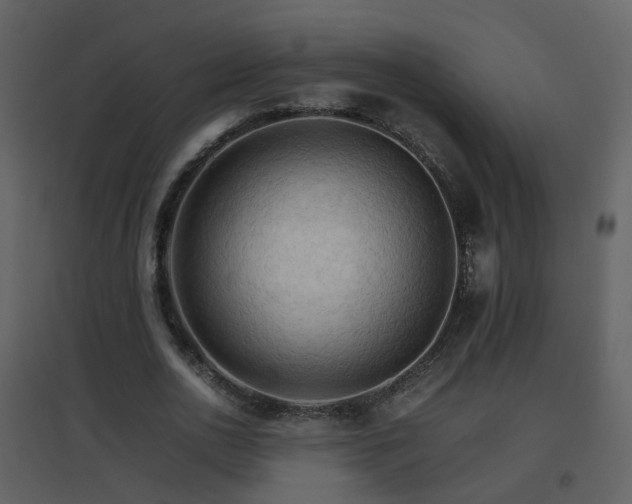 X0000096700726200802121202