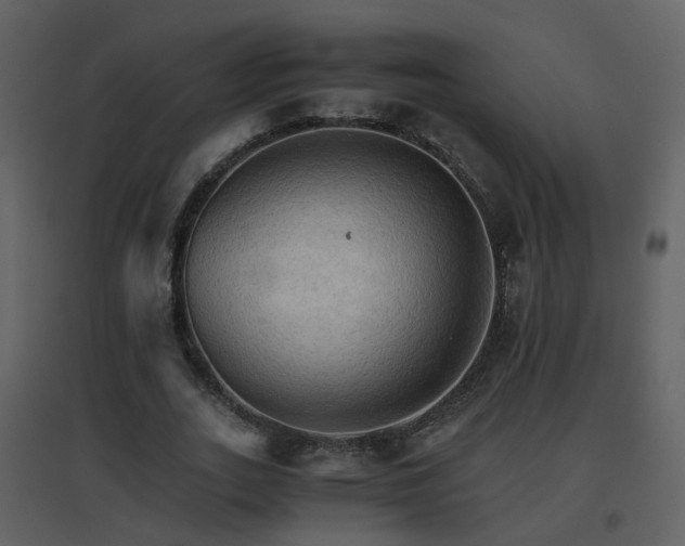 X0000096700727200802121202