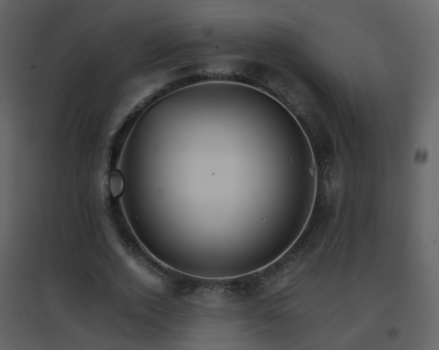 X0000096700728200802121202