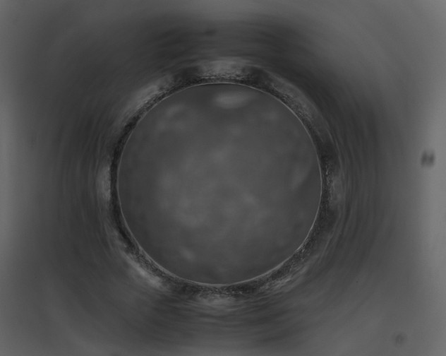 X0000096700729200802121202