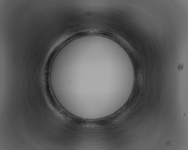 X0000096700730200802121202