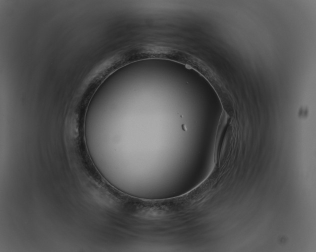 X0000096700731200802121202