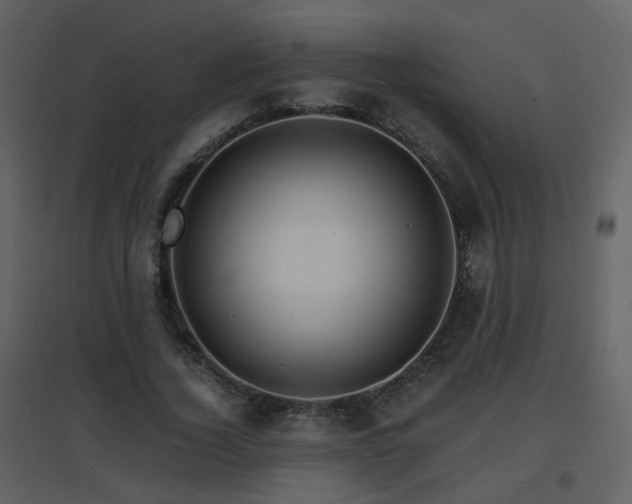 X0000096700732200802121202