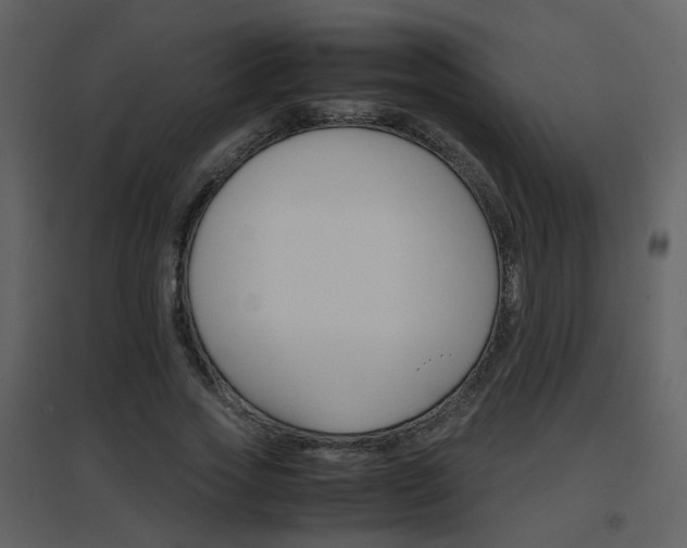 X0000096700733200802121202
