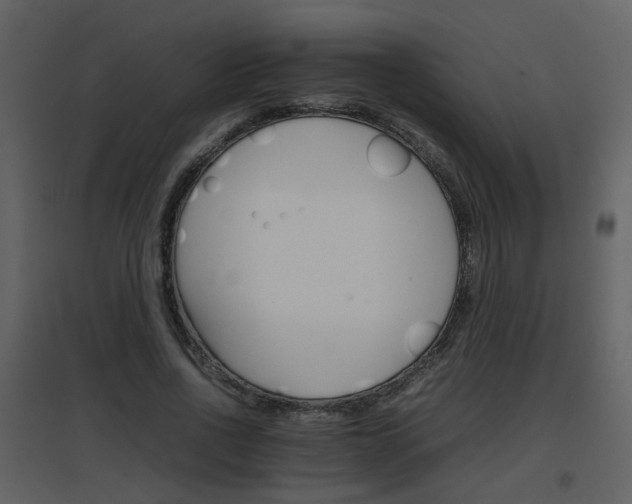 X0000096700734200802121202