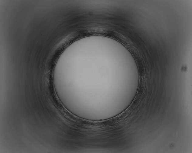 X0000096700735200802121202