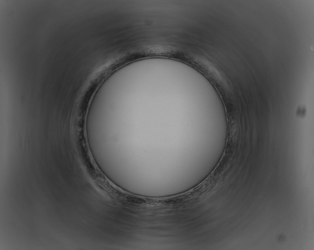 X0000096700736200802121202