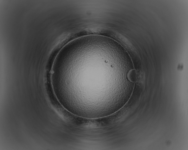 X0000096700738200802121202