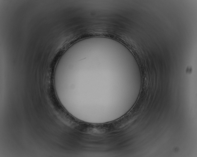 X0000096700739200802121202
