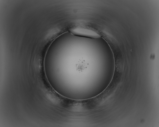 X0000096700740200802121202