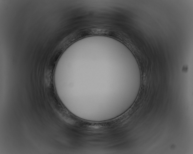 X0000096700741200802121202