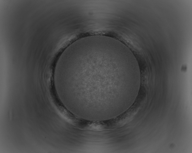 X0000096700742200802121202
