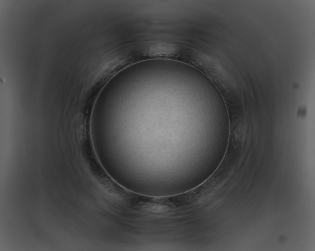 X0000096700743200802121202