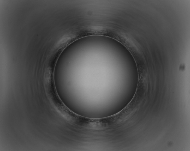 X0000096700744200802121202