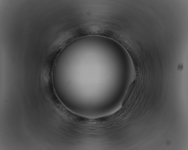 X0000096700746200802121202