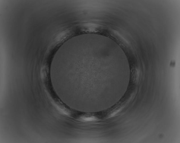 X0000096700747200802121202