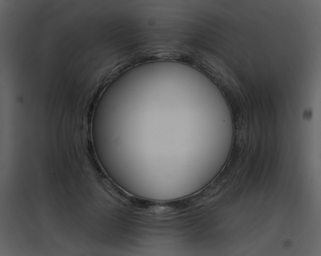 X0000096700748200802121202