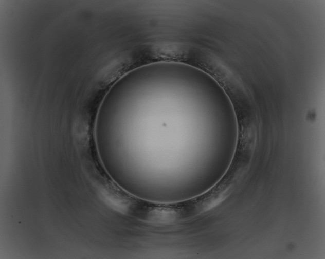 X0000096700749200802121202