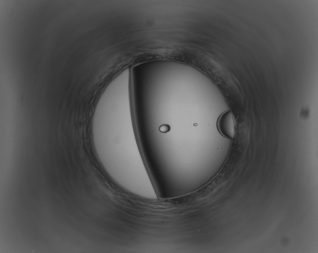 X0000096700750200802121202