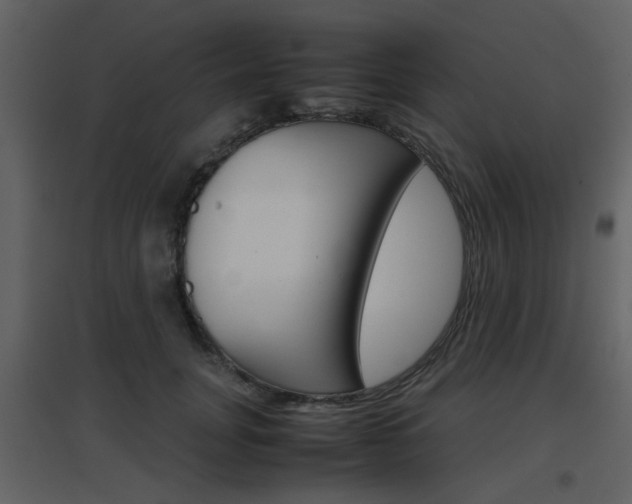 X0000096700751200802121202
