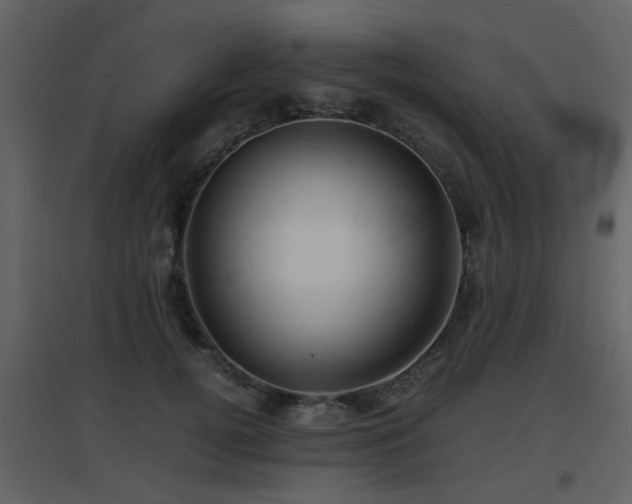 X0000096700752200802121202