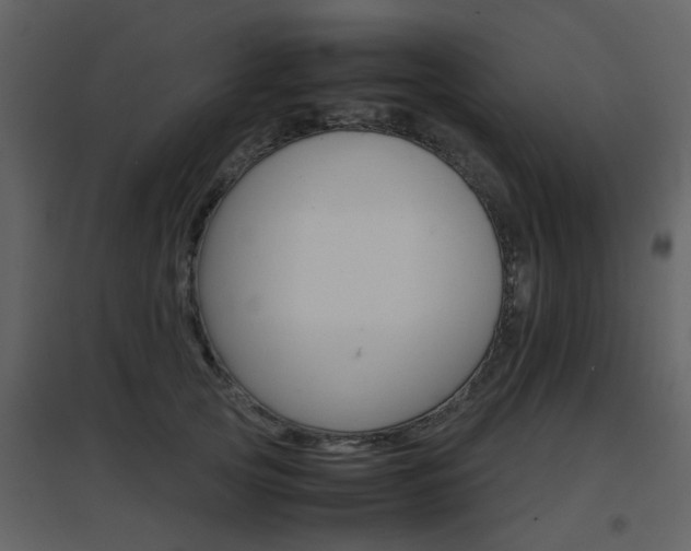 X0000096700753200802121202