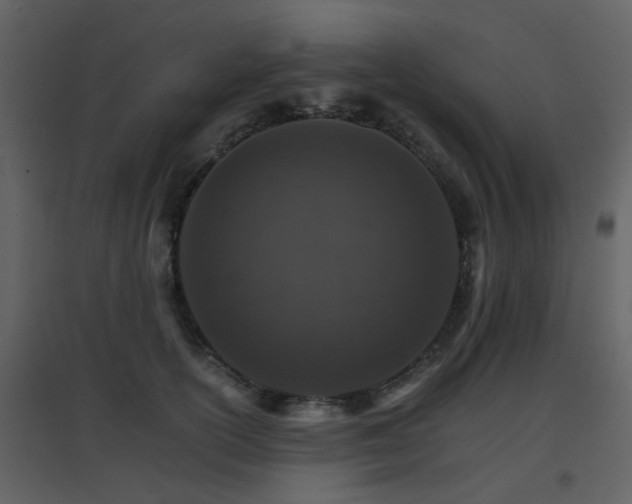 X0000096700754200802121202