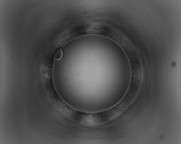 X0000096700755200802121202