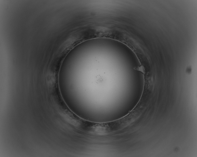 X0000096700756200802121202