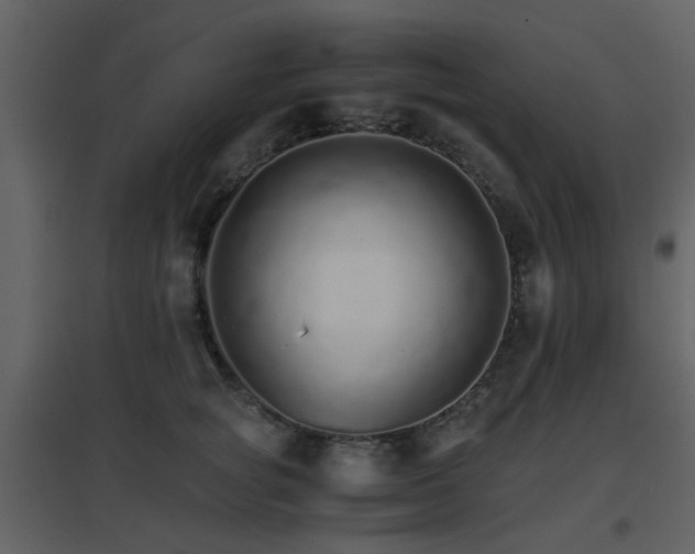 X0000096700757200802121202