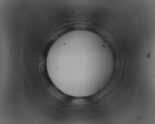 X0000096700759200802121202