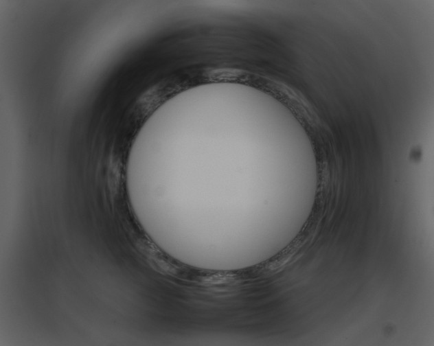 X0000096700761200802121202