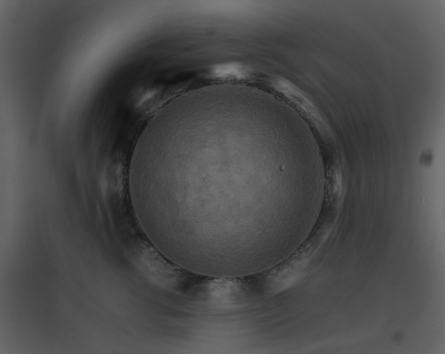 X0000096700762200802121202
