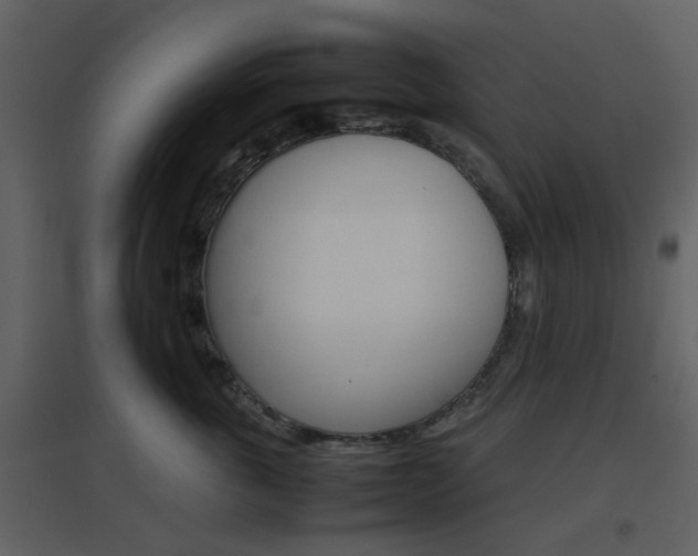X0000096700763200802121202