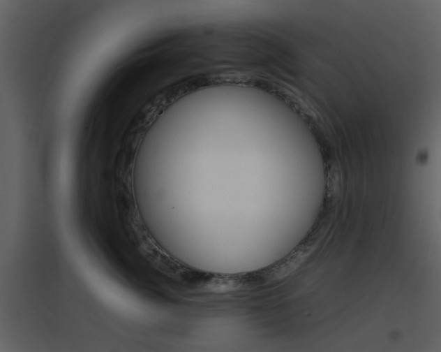 X0000096700764200802121202