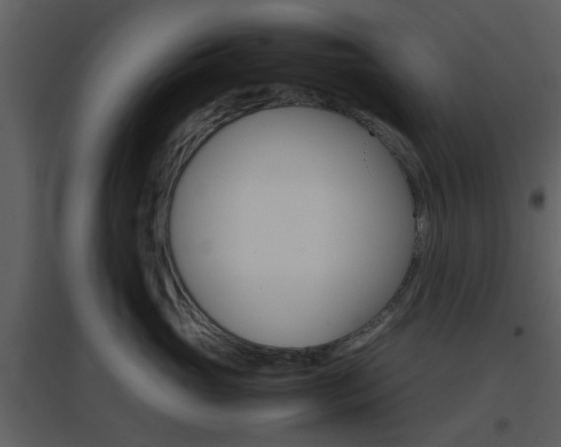 X0000096700765200802121202