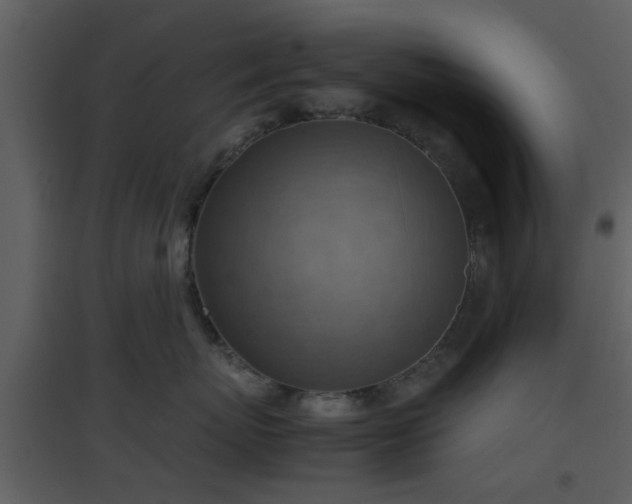X0000096700767200802121203