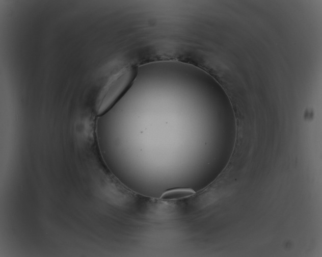 X0000096700768200802121203