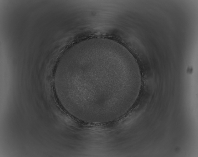 X0000096700769200802121202