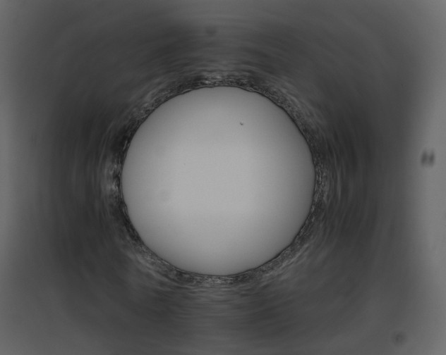 X0000096700770200802121202
