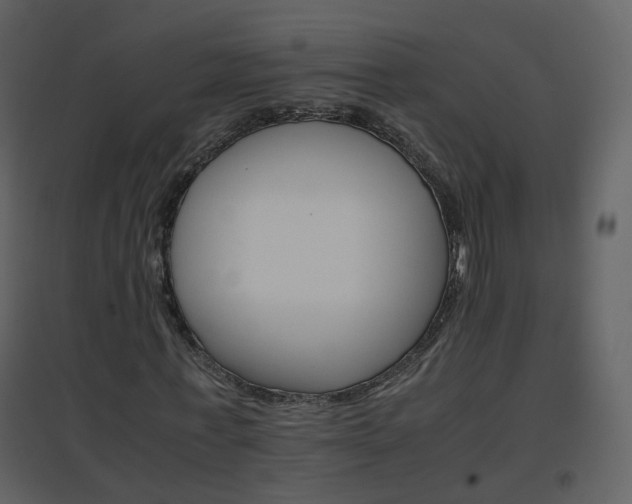 X0000096700771200802121202
