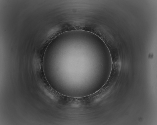 X0000096700772200802121202