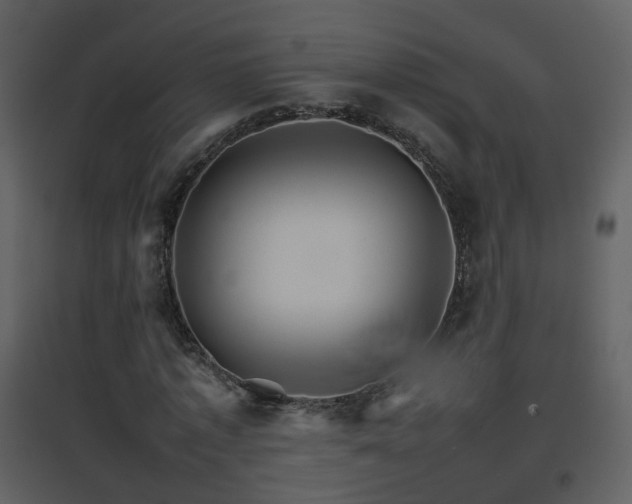 X0000096700773200802121202
